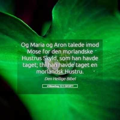 Picture 05 - 4 Mosebog 12:1 DA1871 - Og Maria og Aron talede imod Mose for den - Bible Verse Picture