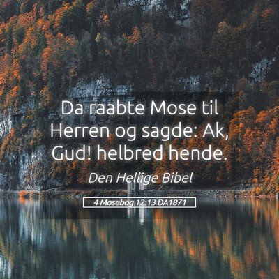 Picture 05 - 4 Mosebog 12:13 DA1871 - Da raabte Mose til Herren og sagde: Ak, Gud! - Bible Verse Picture