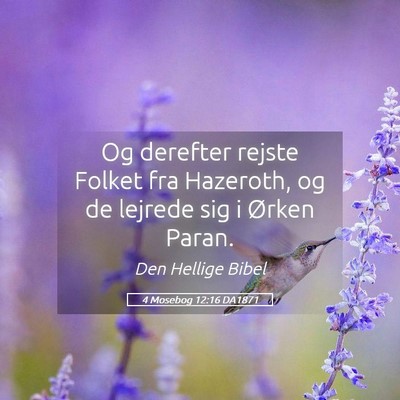 Picture 05 - 4 Mosebog 12:16 DA1871 - Og derefter rejste Folket fra Hazeroth, og de - Bible Verse Picture