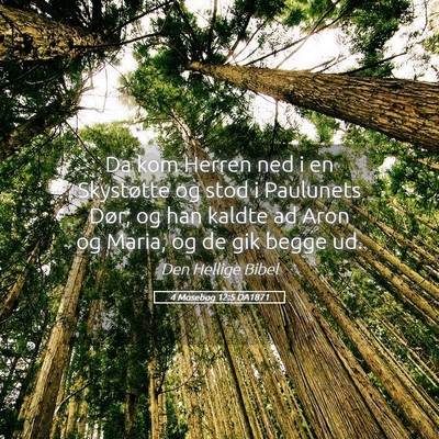 Picture 05 - 4 Mosebog 12:5 DA1871 - Da kom Herren ned i en Skystøtte og stod i - Bible Verse Picture