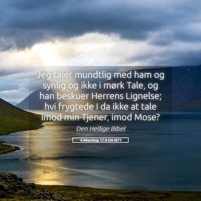 Picture 05 - 4 Mosebog 12:8 DA1871 - Jeg taler mundtlig med ham og synlig og ikke i - Bible Verse Picture