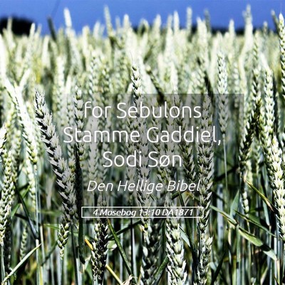 Picture 05 - 4 Mosebog 13:10 DA1871 - for Sebulons Stamme Gaddiel, Sodi - Bible Verse Picture