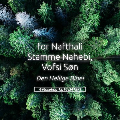 Picture 05 - 4 Mosebog 13:14 DA1871 - for Nafthali Stamme Nahebi, Vofsi - Bible Verse Picture