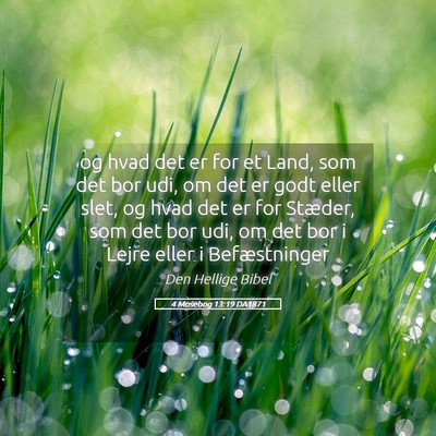 Picture 05 - 4 Mosebog 13:19 DA1871 - og hvad det er for et Land, som det bor udi, om - Bible Verse Picture