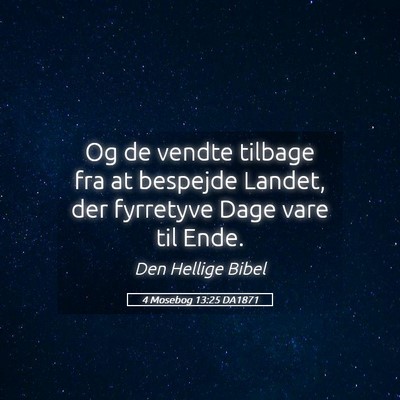 Picture 05 - 4 Mosebog 13:25 DA1871 - Og de vendte tilbage fra at bespejde Landet, der - Bible Verse Picture