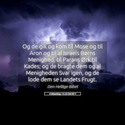 Picture 05 - 4 Mosebog 13:26 DA1871 - Og de gik og kom til Mose og til Aron og til al - Bible Verse Picture