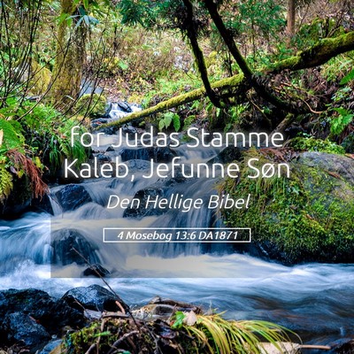 Picture 05 - 4 Mosebog 13:6 DA1871 - for Judas Stamme Kaleb, Jefunne - Bible Verse Picture