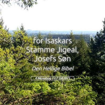 Picture 05 - 4 Mosebog 13:7 DA1871 - for Isaskars Stamme Jigeal, Josefs - Bible Verse Picture