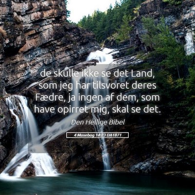 Picture 05 - 4 Mosebog 14:23 DA1871 - de skulle ikke se det Land, som jeg har tilsvoret - Bible Verse Picture
