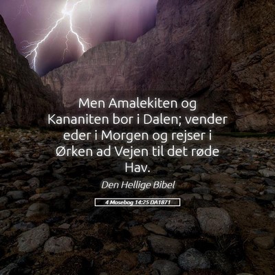 Picture 05 - 4 Mosebog 14:25 DA1871 - Men Amalekiten og Kananiten bor i Dalen; vender - Bible Verse Picture