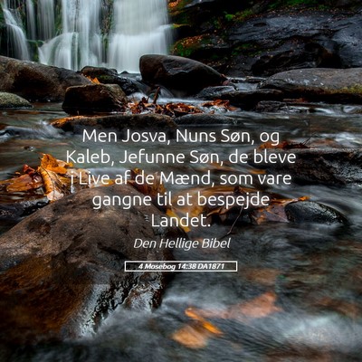 Picture 05 - 4 Mosebog 14:38 DA1871 - Men Josva, Nuns Søn, og Kaleb, Jefunne Søn, de - Bible Verse Picture