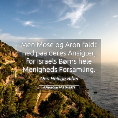 Picture 05 - 4 Mosebog 14:5 DA1871 - Men Mose og Aron faldt ned paa deres Ansigter, - Bible Verse Picture