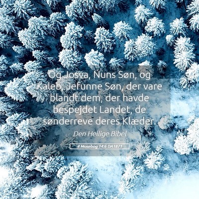 Picture 05 - 4 Mosebog 14:6 DA1871 - Og Josva, Nuns Søn, og Kaleb, Jefunne Søn, der - Bible Verse Picture