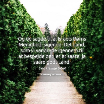 Picture 05 - 4 Mosebog 14:7 DA1871 - Og de sagde til al Israels Børns Menighed, - Bible Verse Picture