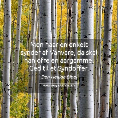 Picture 05 - 4 Mosebog 15:27 DA1871 - Men naar en enkelt synder af Vanvare, da skal han - Bible Verse Picture