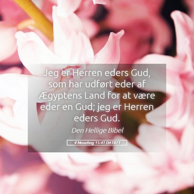 Picture 05 - 4 Mosebog 15:41 DA1871 - Jeg er Herren eders Gud, som har udført eder af - Bible Verse Picture