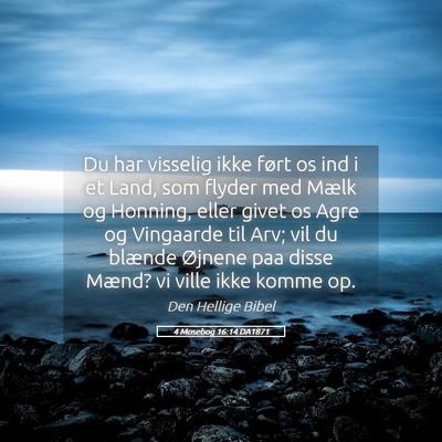 Picture 05 - 4 Mosebog 16:14 DA1871 - Du har visselig ikke ført os ind i et Land, som - Bible Verse Picture