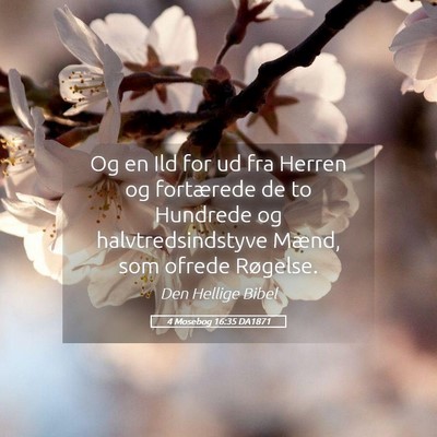 Picture 05 - 4 Mosebog 16:35 DA1871 - Og en Ild for ud fra Herren og fortærede de to - Bible Verse Picture
