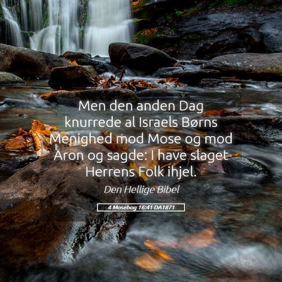 Picture 05 - 4 Mosebog 16:41 DA1871 - Men den anden Dag knurrede al Israels Børns - Bible Verse Picture