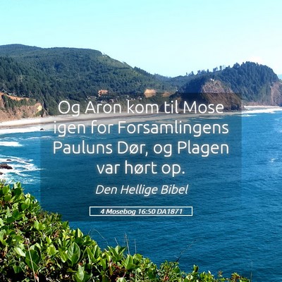 Picture 05 - 4 Mosebog 16:50 DA1871 - Og Aron kom til Mose igen for Forsamlingens - Bible Verse Picture