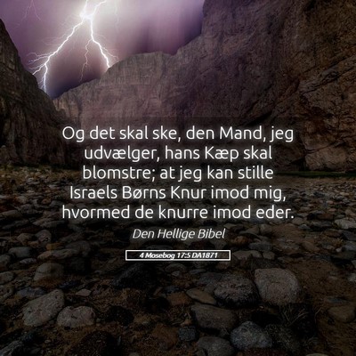 Picture 05 - 4 Mosebog 17:5 DA1871 - Og det skal ske, den Mand, jeg udvælger, hans - Bible Verse Picture