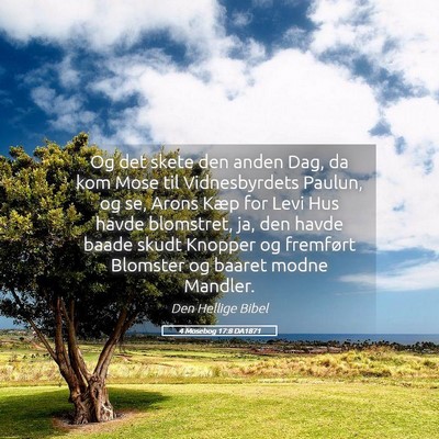 Picture 05 - 4 Mosebog 17:8 DA1871 - Og det skete den anden Dag, da kom Mose til - Bible Verse Picture