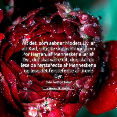 Picture 05 - 4 Mosebog 18:15 DA1871 - Alt det, som aabner Moders Liv, af alt Kød, som - Bible Verse Picture