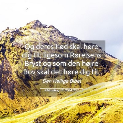 Picture 05 - 4 Mosebog 18:18 DA1871 - Og deres Kød skal høre dig til; ligesom - Bible Verse Picture