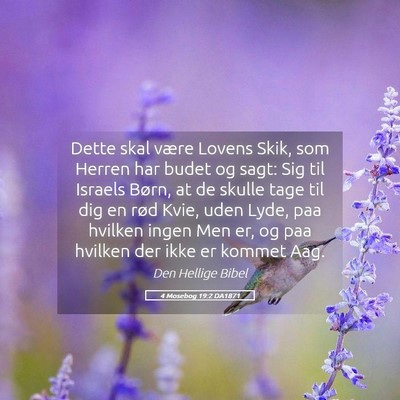 Picture 05 - 4 Mosebog 19:2 DA1871 - Dette skal være Lovens Skik, som Herren har - Bible Verse Picture