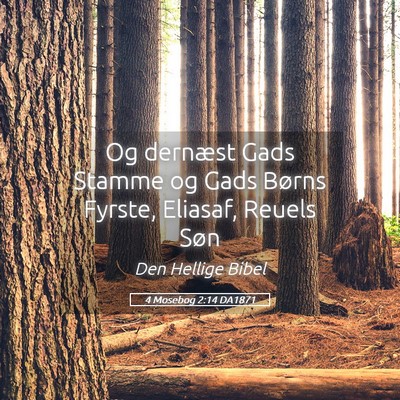 Picture 05 - 4 Mosebog 2:14 DA1871 - Og dernæst Gads Stamme og Gads Børns Fyrste, - Bible Verse Picture