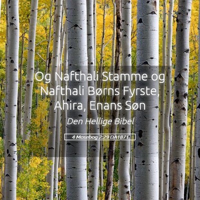 Picture 05 - 4 Mosebog 2:29 DA1871 - Og Nafthali Stamme og Nafthali Børns Fyrste, - Bible Verse Picture
