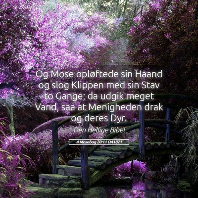 Picture 05 - 4 Mosebog 20:11 DA1871 - Og Mose opløftede sin Haand og slog Klippen med - Bible Verse Picture