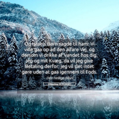 Picture 05 - 4 Mosebog 20:19 DA1871 - Og Israels Børn sagde til ham: Vi ville gaa op - Bible Verse Picture