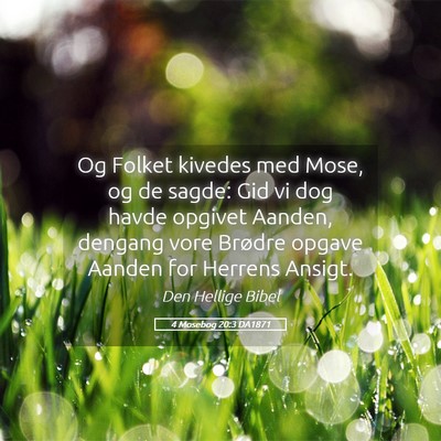 Picture 05 - 4 Mosebog 20:3 DA1871 - Og Folket kivedes med Mose, og de sagde: Gid vi - Bible Verse Picture