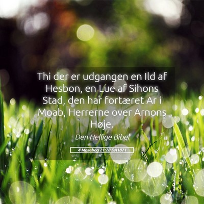 Picture 05 - 4 Mosebog 21:28 DA1871 - Thi der er udgangen en Ild af Hesbon, en Lue af - Bible Verse Picture