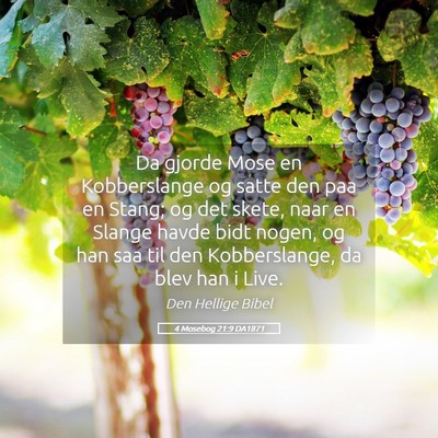 Picture 05 - 4 Mosebog 21:9 DA1871 - Da gjorde Mose en Kobberslange og satte den paa - Bible Verse Picture