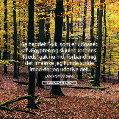 Picture 05 - 4 Mosebog 22:11 DA1871 - Se her det Folk, som er udgaaet af Ægypten og - Bible Verse Picture