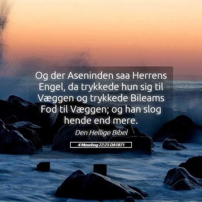 Picture 05 - 4 Mosebog 22:25 DA1871 - Og der Aseninden saa Herrens Engel, da trykkede - Bible Verse Picture