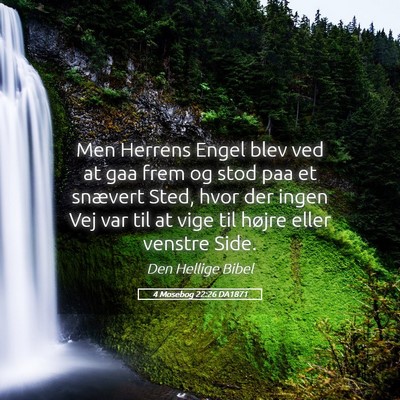 Picture 05 - 4 Mosebog 22:26 DA1871 - Men Herrens Engel blev ved at gaa frem og stod - Bible Verse Picture