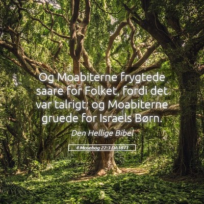 Picture 05 - 4 Mosebog 22:3 DA1871 - Og Moabiterne frygtede saare for Folket, fordi - Bible Verse Picture