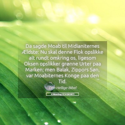Picture 05 - 4 Mosebog 22:4 DA1871 - Da sagde Moab til Midianiternes Ældste: Nu skal - Bible Verse Picture