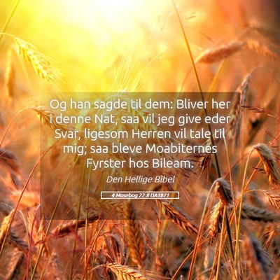 Picture 05 - 4 Mosebog 22:8 DA1871 - Og han sagde til dem: Bliver her i denne Nat, saa - Bible Verse Picture