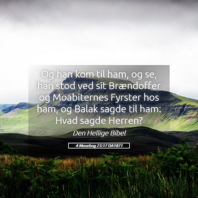 Picture 05 - 4 Mosebog 23:17 DA1871 - Og han kom til ham, og se, han stod ved sit - Bible Verse Picture