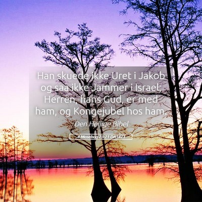 Picture 05 - 4 Mosebog 23:21 DA1871 - Han skuede ikke Uret i Jakob og saa ikke Jammer i - Bible Verse Picture