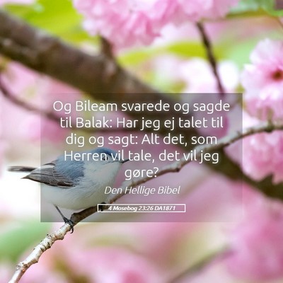 Picture 05 - 4 Mosebog 23:26 DA1871 - Og Bileam svarede og sagde til Balak: Har jeg ej - Bible Verse Picture