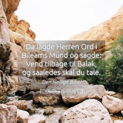 Picture 05 - 4 Mosebog 23:5 DA1871 - Da lagde Herren Ord i Bileams Mund og sagde: Vend - Bible Verse Picture