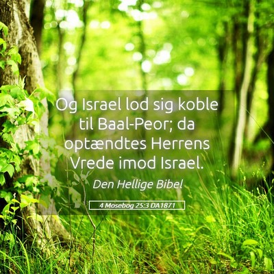 Picture 05 - 4 Mosebog 25:3 DA1871 - Og Israel lod sig koble til Baal-Peor; da - Bible Verse Picture