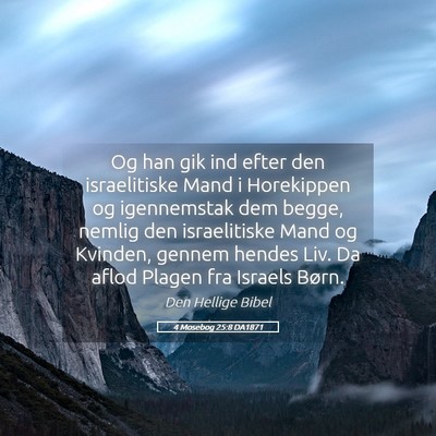 Picture 05 - 4 Mosebog 25:8 DA1871 - Og han gik ind efter den israelitiske Mand i - Bible Verse Picture