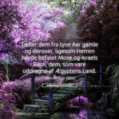 Picture 05 - 4 Mosebog 26:4 DA1871 - Tæller dem fra tyve Aar gamle og derover, - Bible Verse Picture