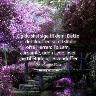 Picture 05 - 4 Mosebog 28:3 DA1871 - Og du skal sige til dem: Dette er det Ildoffer, - Bible Verse Picture